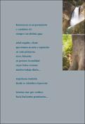 Imagen en miniatura